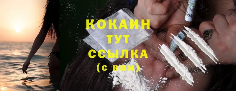 Cocaine Fish Scale  ссылка на мегу ССЫЛКА  Донецк 