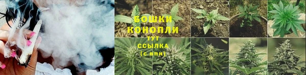 крисы Белокуриха