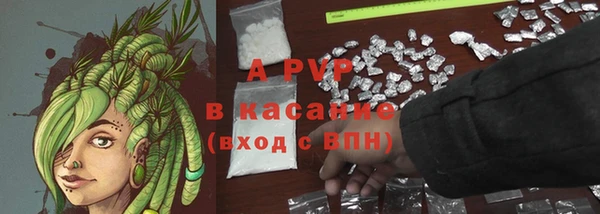 spice Беломорск