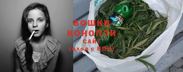крисы Белокуриха