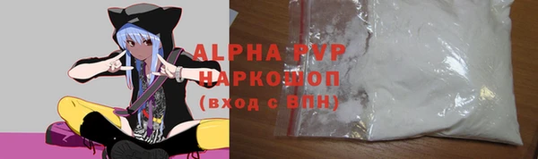 крисы Белокуриха