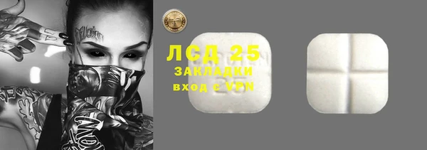 бошки Елабуга