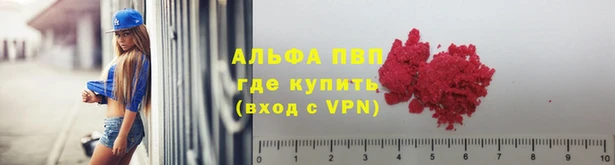 spice Беломорск