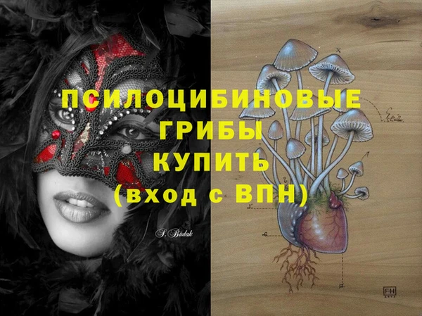 крисы Белокуриха