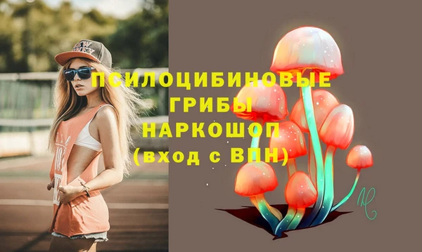 дживик Белоозёрский