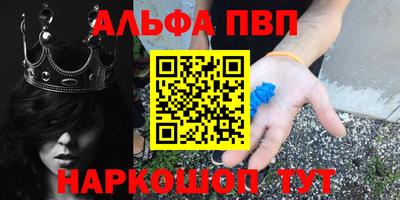 гидра Будённовск