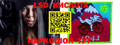 гидра Будённовск