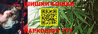 гидра Будённовск