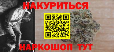 гидра Будённовск