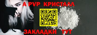 гидра Будённовск