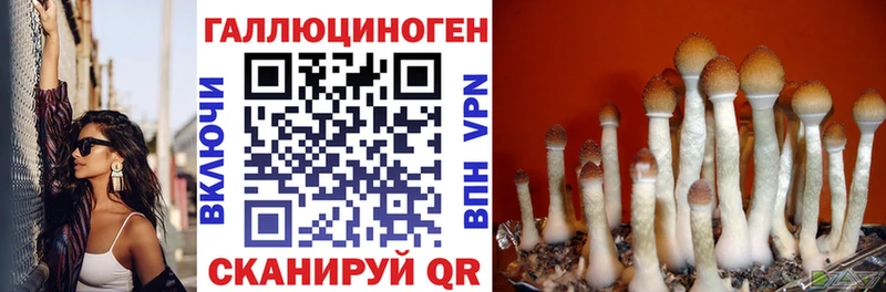 shop как зайти  закладка  Донецк  Галлюциногенные грибы Cubensis  кракен зеркало 