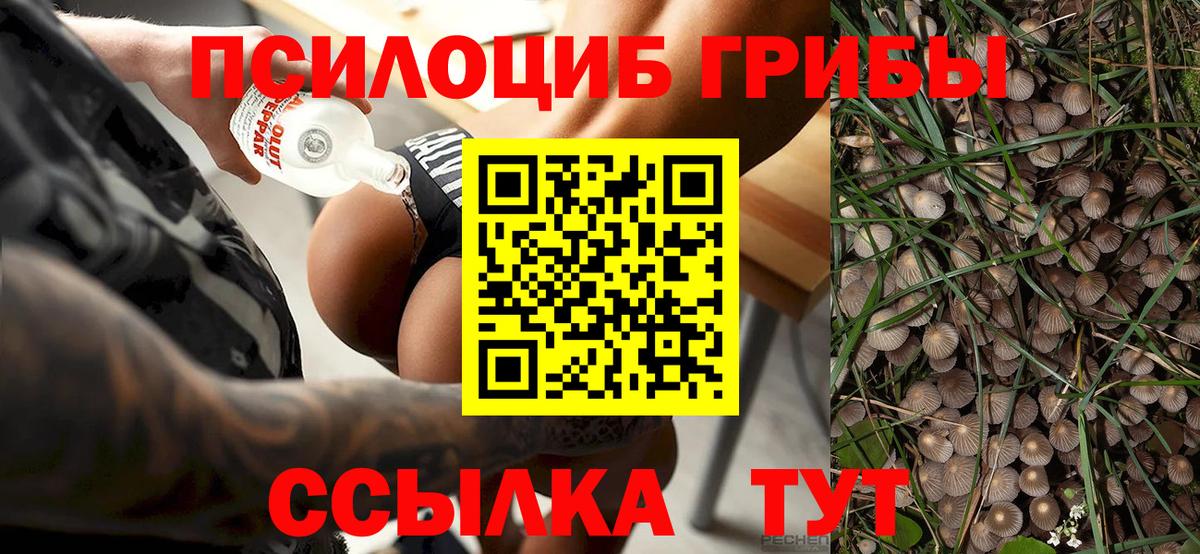 Псилоцибиновые грибы Psilocybine cubensis Донецк