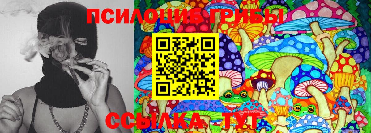 Донецк  Галлюциногенные грибы Psilocybe  продажа наркотиков  Галлюциногенные грибы Psilocybe  Вход с VPN 