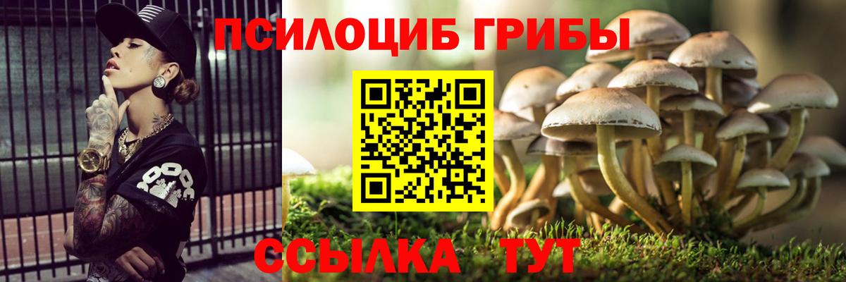 Псилоцибиновые грибы Psilocybe  Донецк 